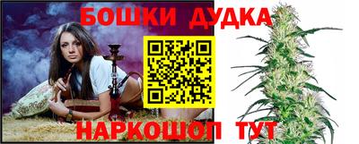 шишки Братск