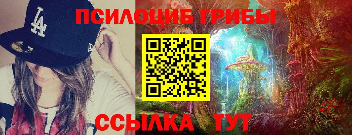 Псилоцибиновые грибы Magic Shrooms Черняховск