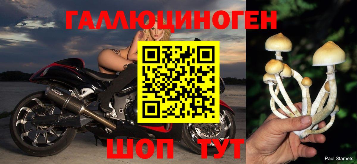 Галлюциногенные грибы прущие грибы  Черняховск 